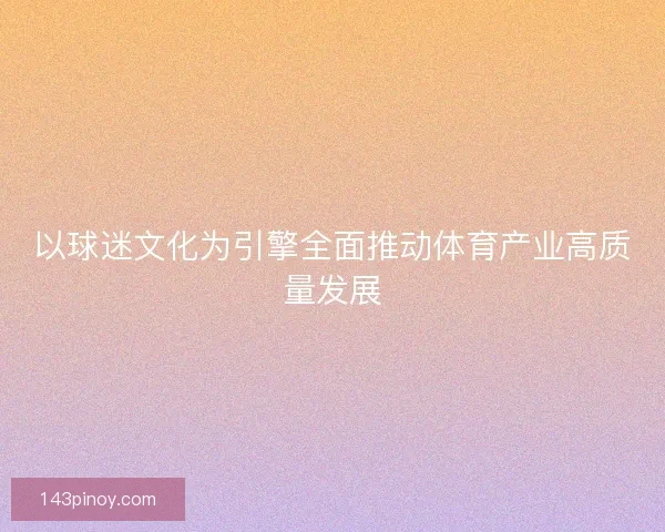 以球迷文化为引擎全面推动体育产业高质量发展